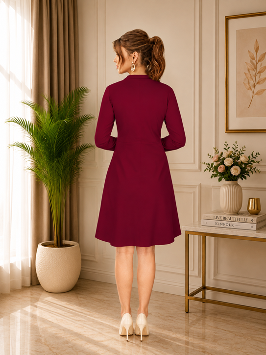 Women's Knitting stretchable Solid Round Neck Full Sleeve Dress (Maroon) BSB71NYYYP_D_582_Mron_L